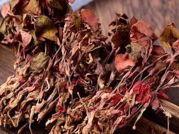 Superkwaliteit gedroogde Anoectochilus Roxburghii arriveert op gespecialiseerde markten