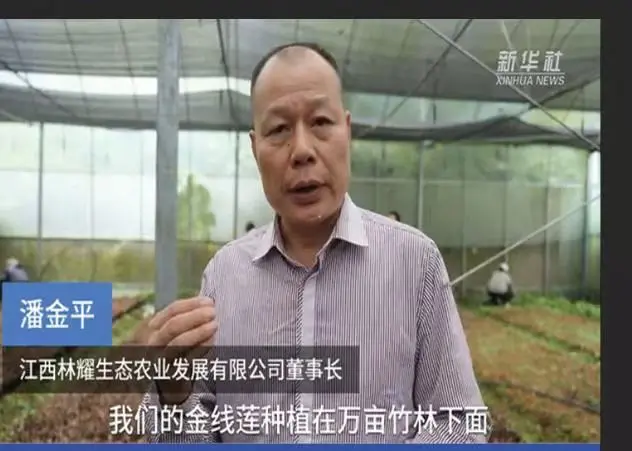 Pan Jinping, voorzitter van Jiangxi Linyao Ecological Agriculture Development Co., Ltd., geïnterviewd door Xinhua News Agency