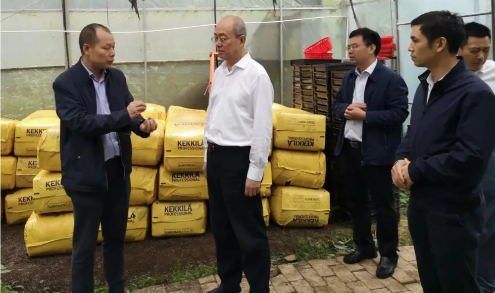 Xie Guanghua, partijsecretaris en directeur van de provinciale administratie voor traditionele Chinese geneeskunde in Jiangxi, doet onderzoek op de plantbasis van Anoectochilus
