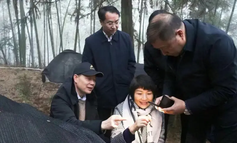 Lu Xiaoqing, voormalig voorzitter van Jiangzhong Pharmaceutical en huidig ​​lid van het Permanent Comité van het Provinciaal Partijcomité van Jiangxi en directeur van de afdeling Publiciteit, inspecteert onze plantbasis